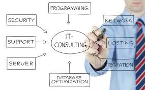 TECHNOLOGY CONSULTING